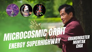 What is the microcosmic orbit Bodys energy superhighway explained by Grandmaster Mantak Chia [upl. by Aerdnad130]