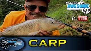 Floater fishing for CARP on the surface  TAFishing Show [upl. by Bryna]