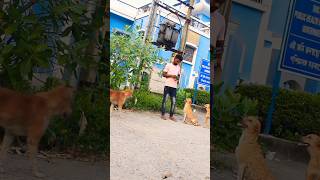 Tujhe Meri Fikar ❤️❤️shorts ytshorts doglover trending youtubeshorts [upl. by Issie]