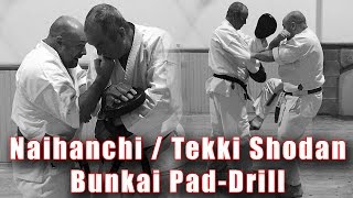 Practical Kata Bunkai Naihanchi  Tekki Shodan Bunaki Pad Drill [upl. by Laefar481]