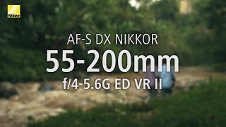 Exploring NIKKOR Lenses Bali with the AFS DX NIKKOR 55200mm f456G ED VR II [upl. by Aihsena]