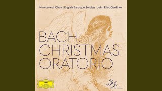 JS Bach Christmas Oratorio BWV 248 Pt 3 quotFor the Third Day of Christmasquot No 26 Lasset [upl. by Benjie]