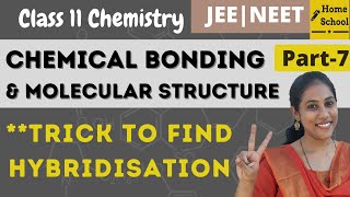 Trick to find Hybridisation  Chemical Bonding class 11  Part 7 [upl. by Greyso]