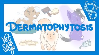 Dermatophytosis [upl. by Nodaj186]