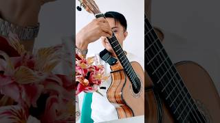 Las canciones de Bertín Y Lalo 🥹🎸 guitarra requinto rolitas [upl. by Wilterdink52]