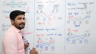 223 Mendels Law of Segregation  Test Cross  Fsc Biology class 12 [upl. by Leola]