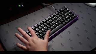 NK65 Entry Edition with Creamsicle Switches Sound Test [upl. by Cargian881]