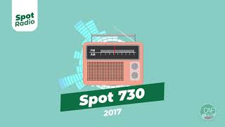 Caf Cisl  Spot Radio 730  2017 [upl. by Anthiathia893]