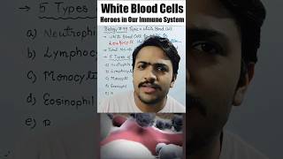 White Blood Cell l WBC l Leukocyte l wbc rbc bloodflow neet2025 neet biology mbbs protein [upl. by Laughton]