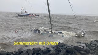 3 Sommertörn 2023 Segeln im Ijsselmeer Stavoren Makkum Vlieland Texel und ein Orkan [upl. by Eejan728]