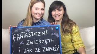 Fantastyczne zwierzęta i jak je znaleźć książka i film bez Harrego Pottera KrótkaPrzerwa10 [upl. by Isador]