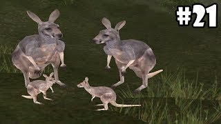 Wild Animals Online  Group of Kangaroos  AndroidiOS  Gameplay Episode 21 [upl. by Baerl]