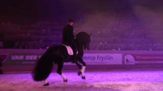 Elias 494 FriesianProms2017 [upl. by Iadrahs475]