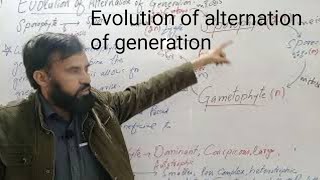 Evolution of alternation of generation [upl. by Jolene]