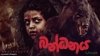 බන්දනය Movie but Van Helsing Style [upl. by Feerahs]