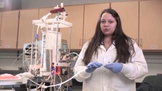 Quincy College Biotechnology amp Compliance Upstream Processing [upl. by Aramaj]