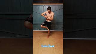 Lake Root kailen martialarts [upl. by Ariadne]