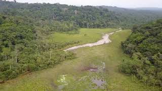 IVINDO NATIONAL PARK GABONS PARK BECOMES SECOND UNESCO WORLD HERITAGE SITE [upl. by Colet]