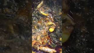 Spinach stew  Palava Sauce  Kontomire stew shorts shortsfeed ghana viral viralshorts [upl. by Einnov784]