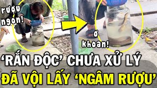 Liều mạng ngâm rượu bằng RẮN SỐNG thanh niên tự TÌM CHẾT khiến CĐM sởn gai ốc  Tin Việt 2 Phút [upl. by Skeie]