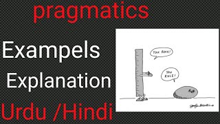 what is Pragmatics Explain with Examples UrduHindi [upl. by Ramso]