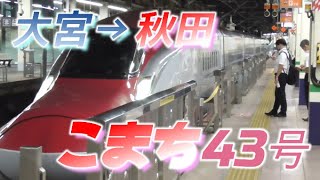 【秋田新幹線】こまち43号 大宮→秋田 2022823 [upl. by Hesta]