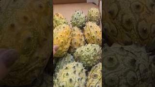 kiwano fruit [upl. by Xer]