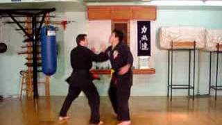 Doctor Ron Chapels  Sub Level 4 Kenpo Delayed Sword [upl. by Mihsah648]