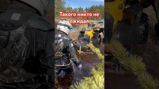 Самый Проходимый квадроцикл это БРП atv квадроцикл [upl. by Banna]