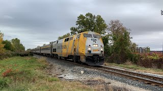 FALL COLOURS 🍁🍂  VIA 73 hauls thru Tecumseh [upl. by Euginom]