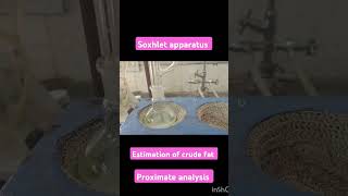 Soxhlet apparatus estimation of crude fat proximate analysis animalnutrition [upl. by Daveen]