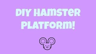 DIY hamster platform [upl. by Fachan]