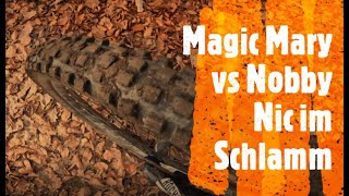 Reifentest Schwalbe Magic Mary vs neuem Nobby Nic im Schlamm MTB [upl. by Ytsirhc]