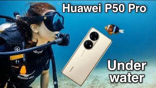 Huawei P50 Pro Underwater photography [upl. by Other393]