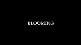 Opening Logos  Blooming 20200219971999 UKIreland Print in slideshow form [upl. by Eecyal]