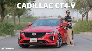 2021 Cadillac CT4V Review  Should The Germans Be Afraid  YallaMotor [upl. by Urion]