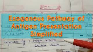 Exogenous Pathway of Antigen Presentation [upl. by Comyns956]