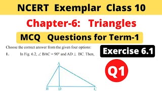 NCERT Exemplar  Class 10 Maths  Chapter 6 Triangles  Exercise 61  Question 1  MCQ Term 1 [upl. by Yenhoj398]