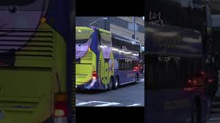 Megabus Buses [upl. by Sawyer]