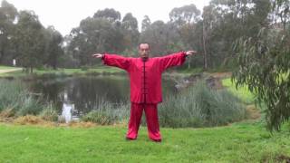 ziran qigong level 2 Taoist Nature Qigong [upl. by Naitsirt]