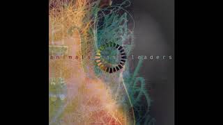 Animals As Leaders  CAFO Band  Orchestra Mix [upl. by Cinderella21]