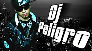 Dj peligro coqueta y descarada [upl. by Ahsenyt593]