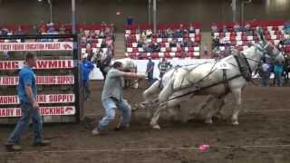 2013 BDHMC Mule Pull winning pull YT [upl. by Natassia]