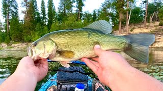 Bass Fishing A Hidden Gem Lake In Northern California [upl. by Broadbent]