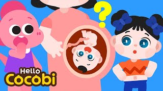 Belly Button Song  Why Do We Have Belly Buttons  Nursery Rhymes amp Kids Songs  Hello Cocobi [upl. by Aigil]