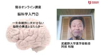 【龍谷オンライン講座】＜紹介動画＞脳科学入門②－生命維持に欠かせない脳幹の構造とはたらき－ [upl. by Karlan]