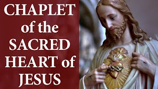 THE CHAPLET OF THE SACRED HEART OF JESUS [upl. by Hennessey223]