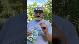 Mycorrhizae Fungi gardening gardeninghacks gardeningadvice short [upl. by Anaitsirk]