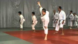 Sensei Kagawa Masao Curso Madrid2 [upl. by Shere836]