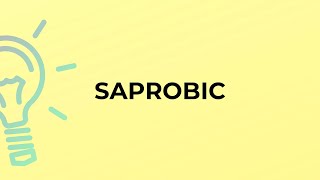 What is the meaning of the word SAPROBIC [upl. by Scotti635]